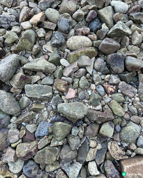 欣澳海岸｜美景打卡 簡易路線｜一個多小時親子郊遊