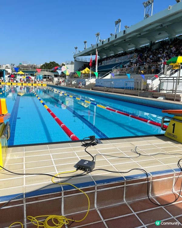 2024粉嶺游泳池-康文北區分齡游泳比賽