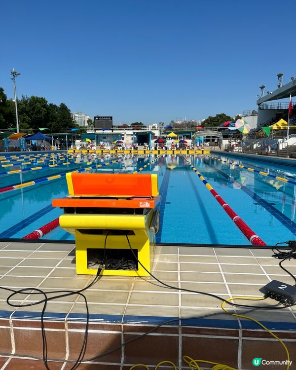 2024粉嶺游泳池-康文北區分齡游泳比賽