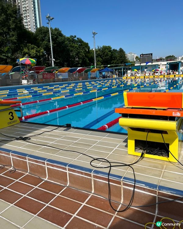 2024粉嶺游泳池-康文北區分齡游泳比賽