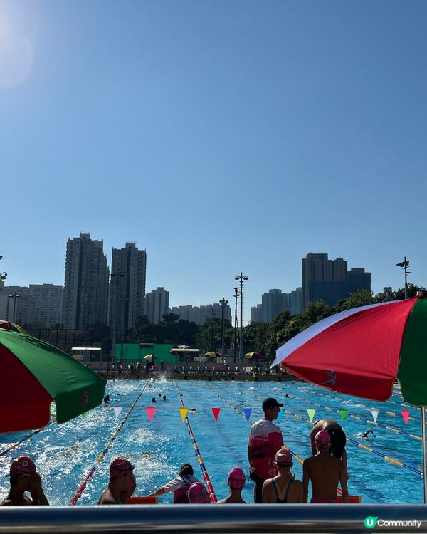 2024粉嶺游泳池-康文北區分齡游泳比賽