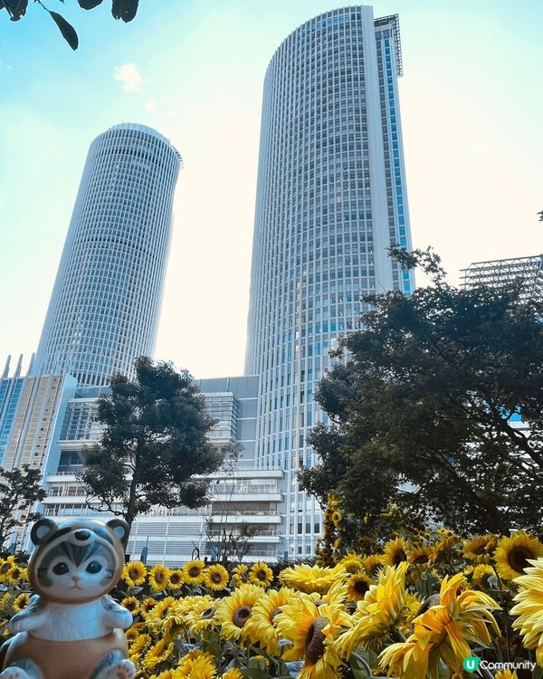 名古屋大名古屋大廈5/F，期間限定～向日葵天空花園