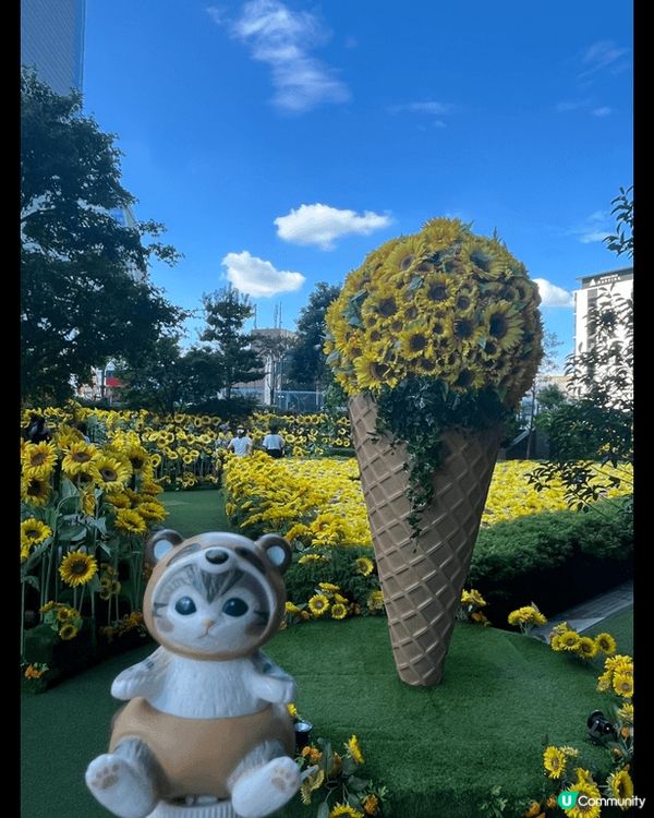 名古屋大名古屋大廈5/F，期間限定～向日葵天空花園