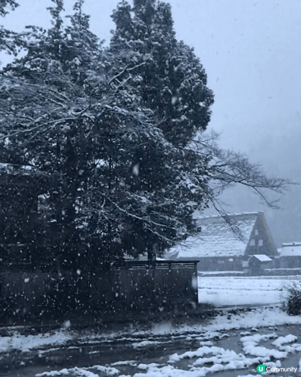 平日不會看到下雪的香港人，到日本旅行時遇見初雪，必須即時把這...