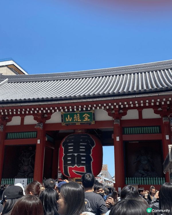 東京之行，除了去淺草雷門打卡； 還可以去東京近郊一曰遊，首選...