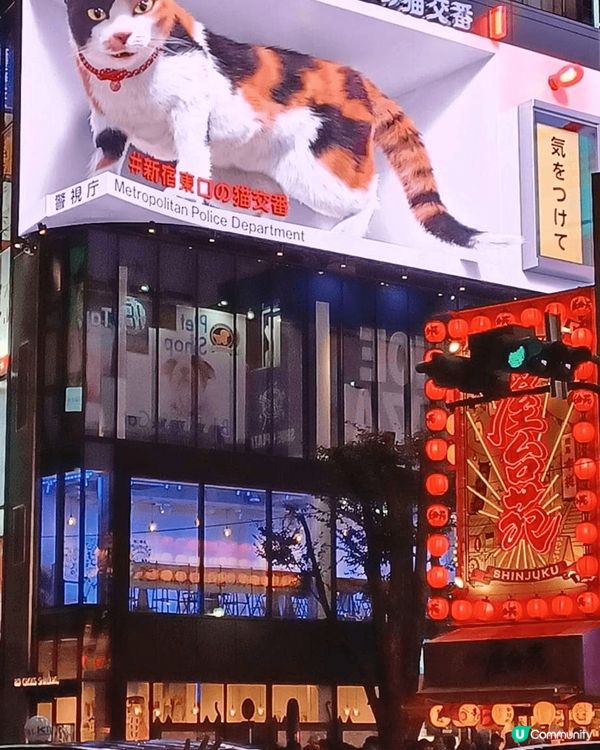 相信新宿這個車站出面的十字路口，隻貓貓；御殿埸的高達，都會成...