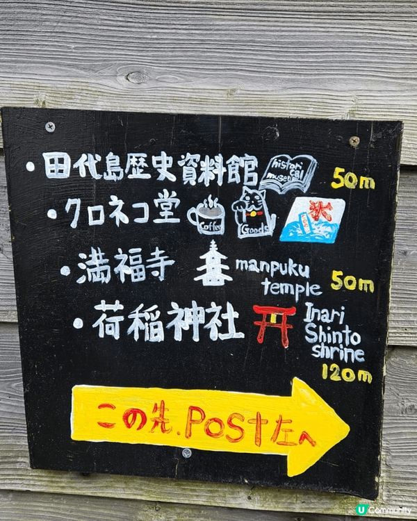 田代島, 日本貓島, 地方寧靜的小漁港, 貓貓都很可愛