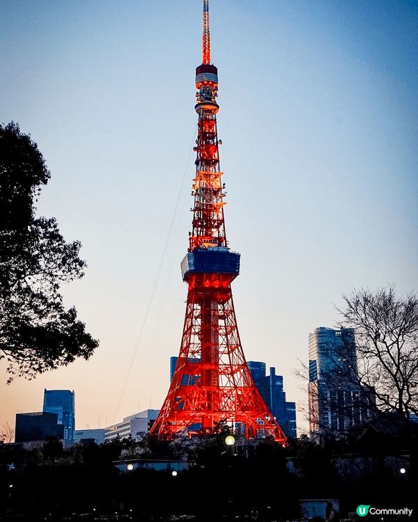 晚上嘅東京夜景真係好靚，可以先去秋葉原玩下figure和打卡...