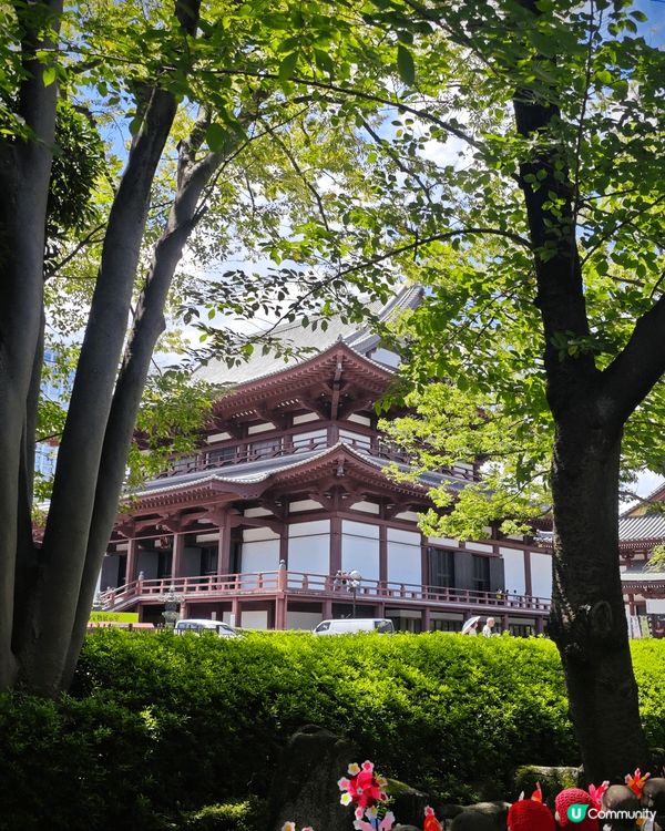 東京之旅，百去不厭，景色迷人，動靜皆宜，食物有平有貴，但係都...