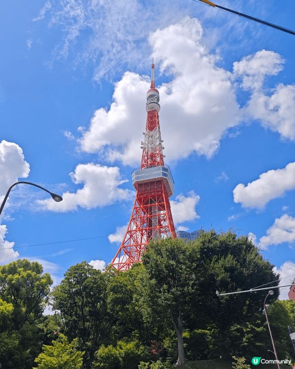 東京之旅，百去不厭，景色迷人，動靜皆宜，食物有平有貴，但係都...