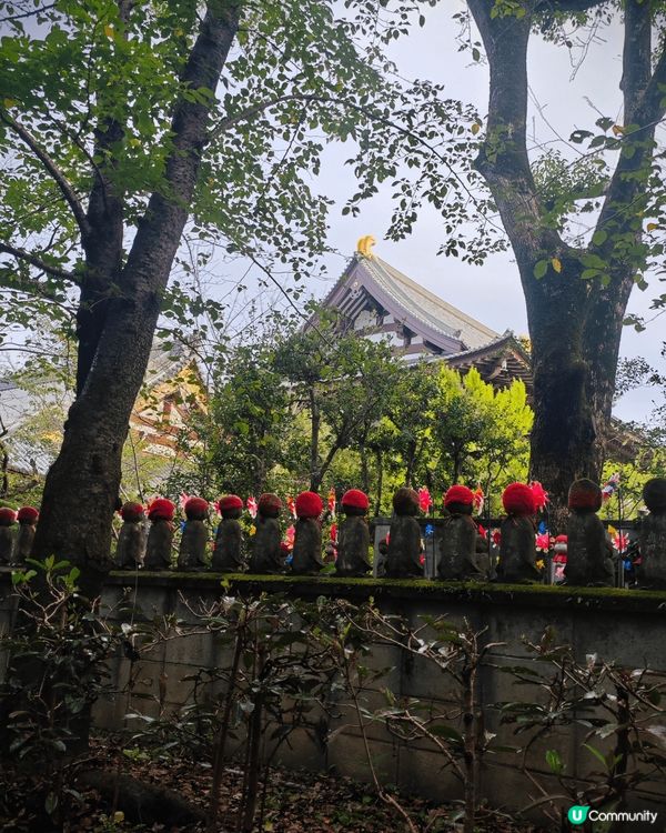 東京之旅，百去不厭，景色迷人，動靜皆宜，食物有平有貴，但係都...