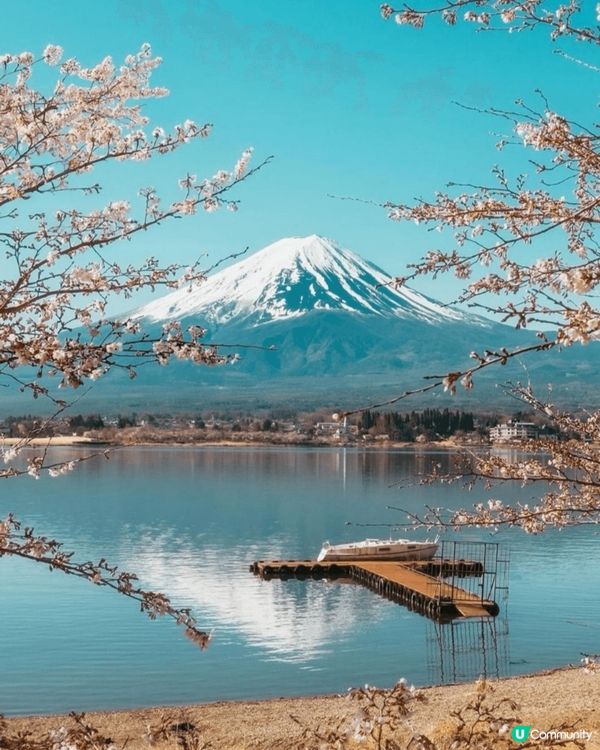 今次放左長假，去左日本，影左好多靚景，食左好多美食，滿載而歸...