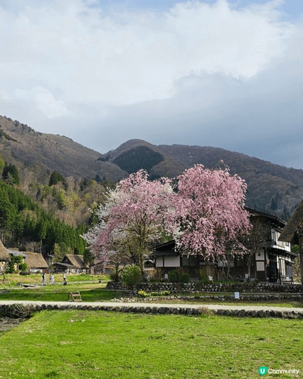 相片是位於岐阜縣的白川鄉，四季風景優美各有特色，是去大阪或名...