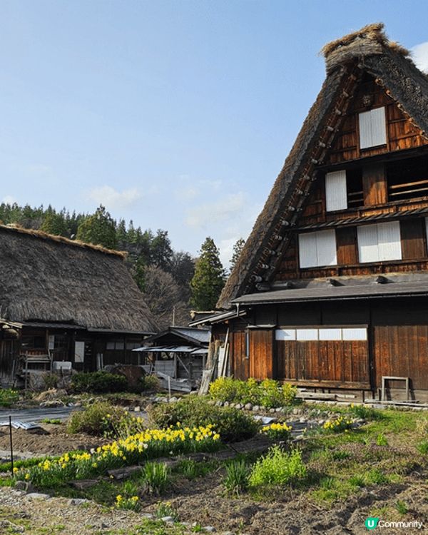 相片是位於岐阜縣的白川鄉，四季風景優美各有特色，是去大阪或名...