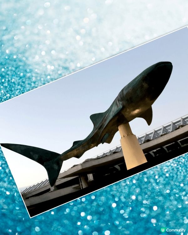 沖繩美麗海水族館~水族館又大又靚，現場看到鯨鯊，真係好巨大，...