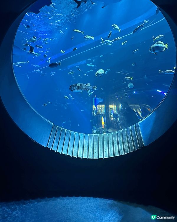 呢度係日本沖繩，第一次去藍天與白雲真係好靚，真係好值得一去非...