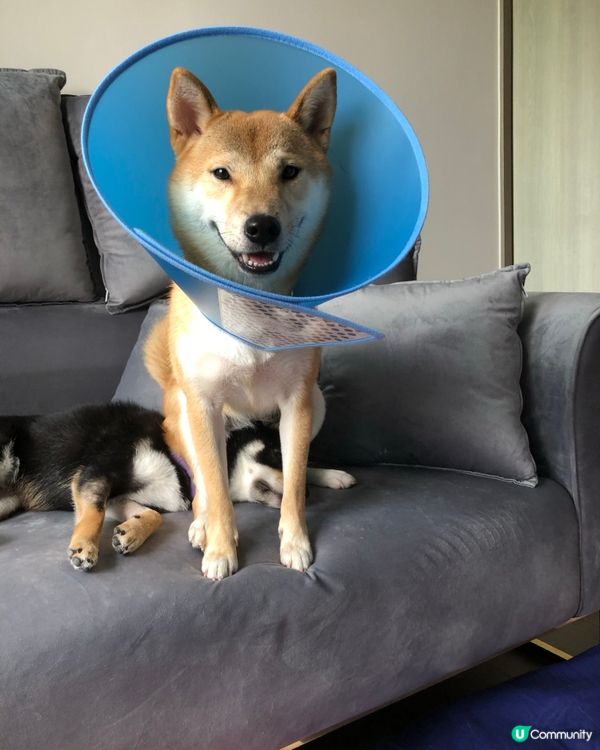 📎 勝利✌️的笑容