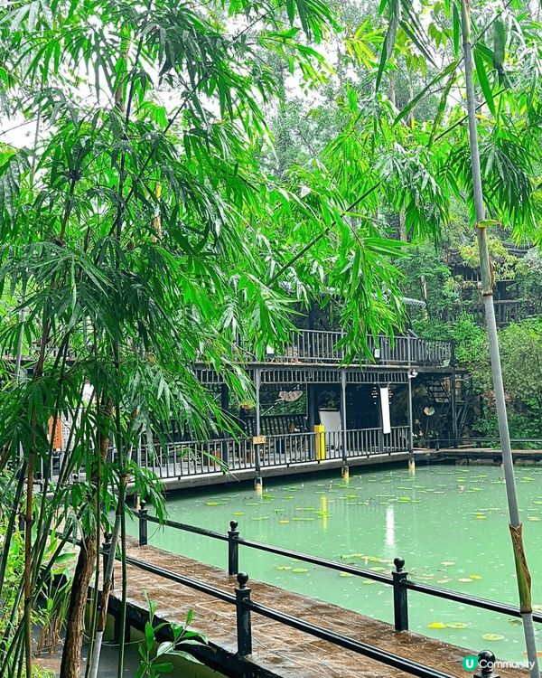 90%的中山人都不知道的山中仙境