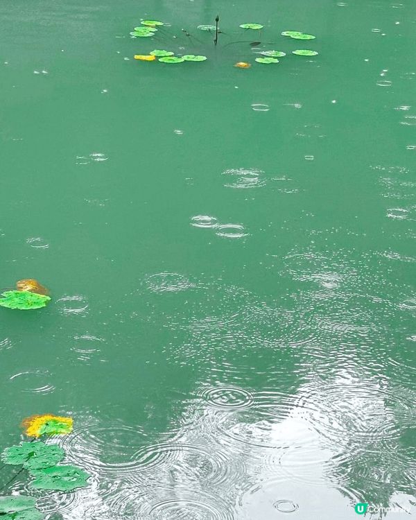 90%的中山人都不知道的山中仙境