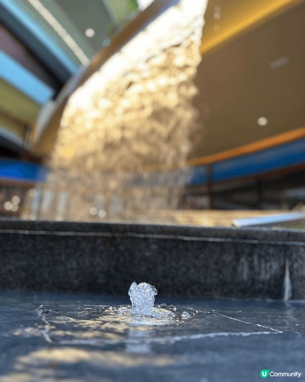 去海洋公園水上樂園 玩下水禮， 玩咗好多室內同室外嘅水上活動...