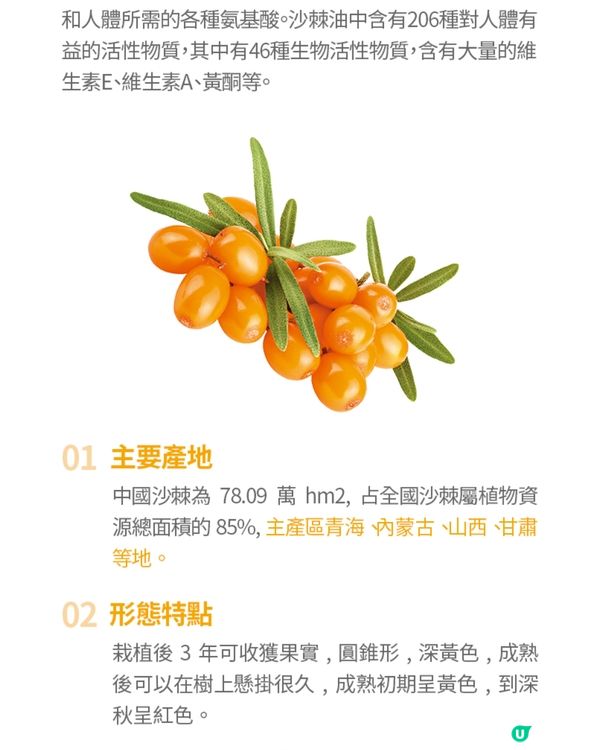 奇妙的修復效果❤️🤗