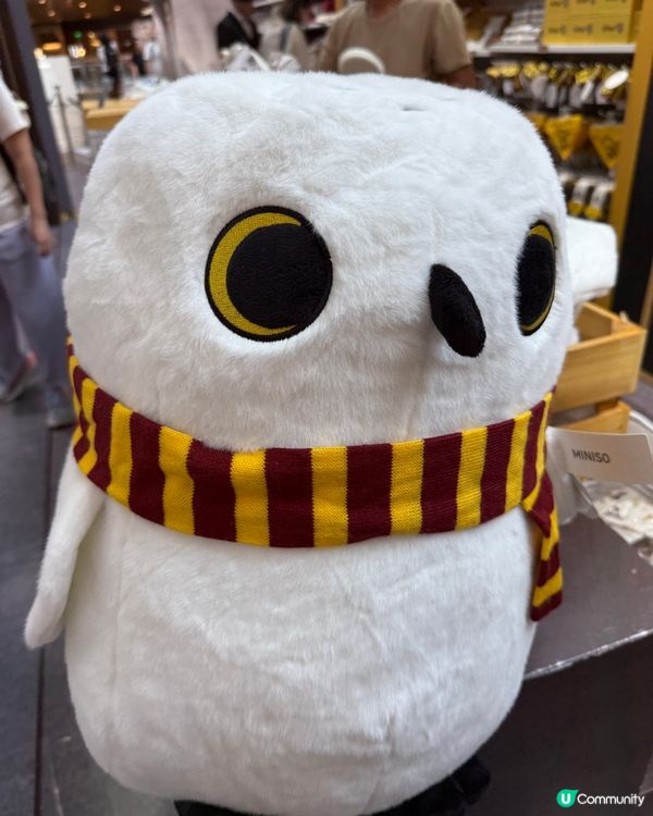 香港🥸MINISO X Harry Potter 聯名產品