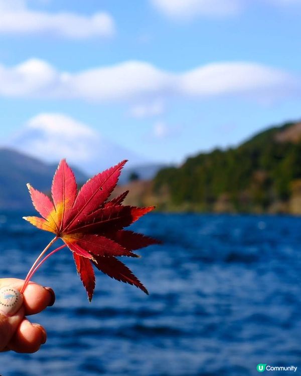 箱根賞楓之旅🍁富士山下醉人美景！