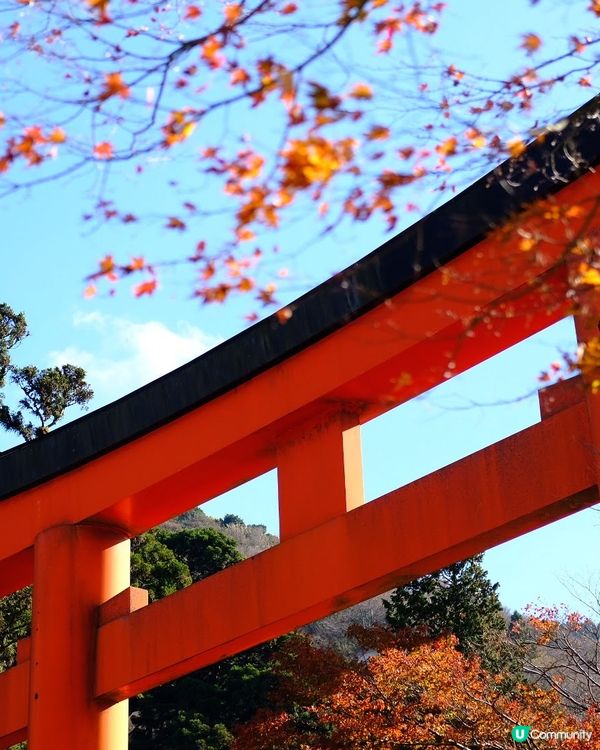 箱根賞楓之旅🍁富士山下醉人美景！