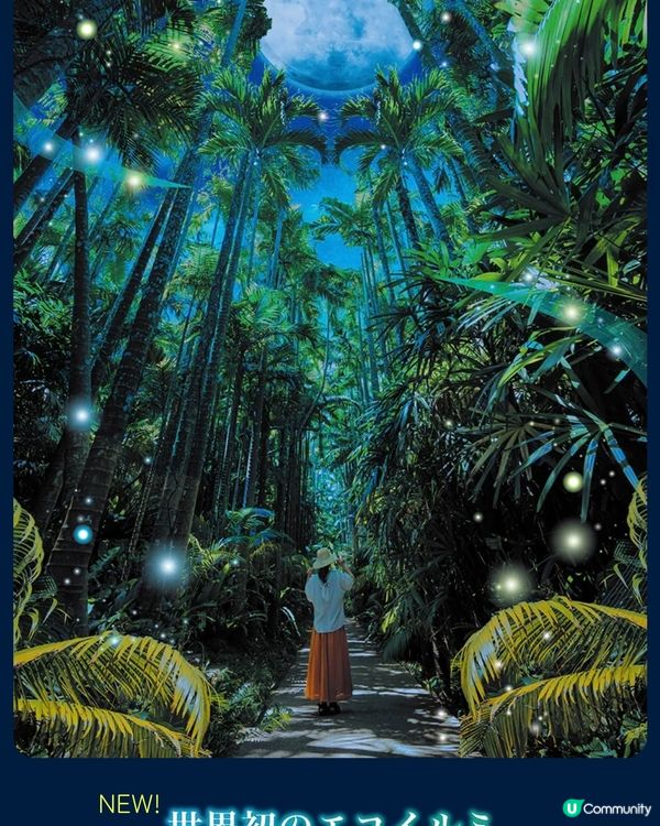 ✨✨閃爆沖繩植物園✨✨