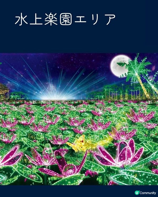✨✨閃爆沖繩植物園✨✨