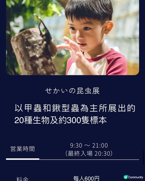 ✨✨閃爆沖繩植物園✨✨