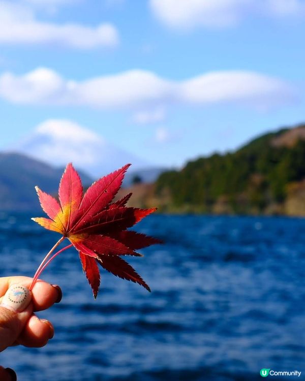 箱根賞楓之旅🍁富士山下醉人美景！