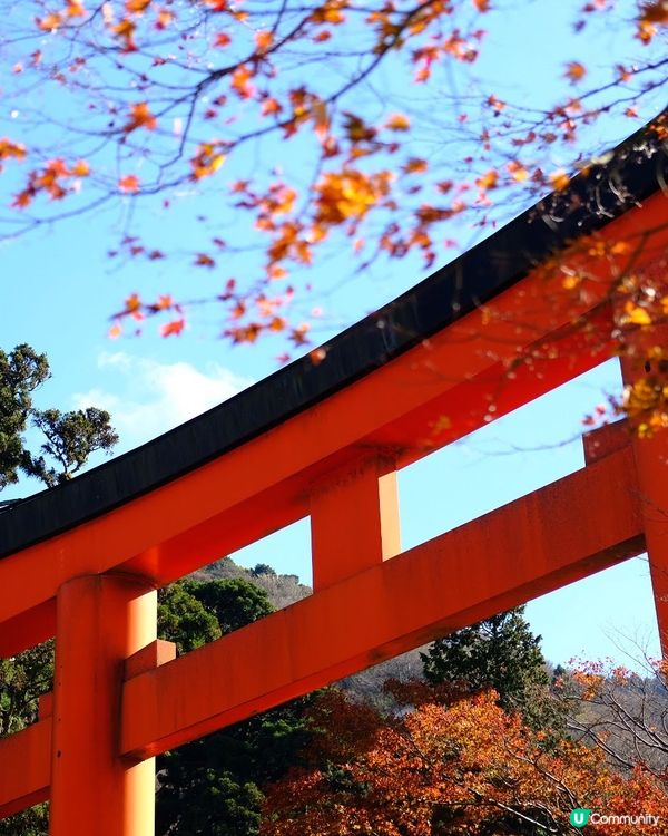 箱根賞楓之旅🍁富士山下醉人美景！
