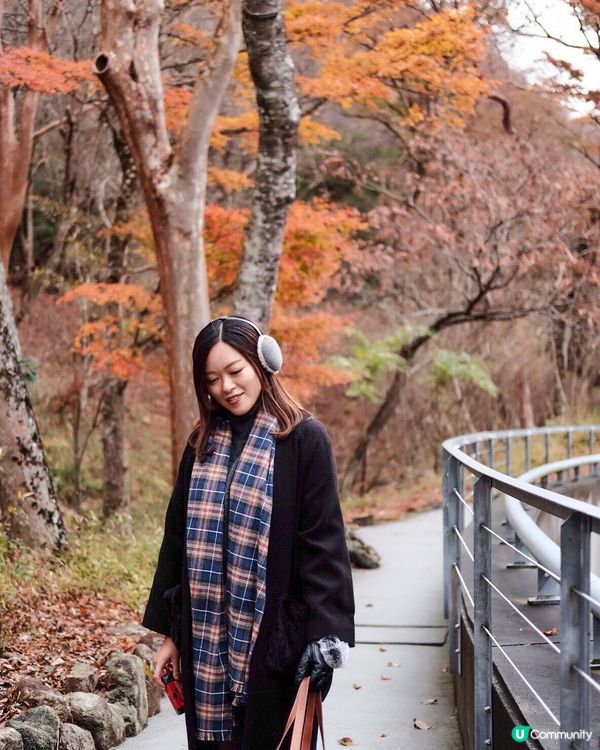 箱根紅葉之旅🍁美術館打卡📸