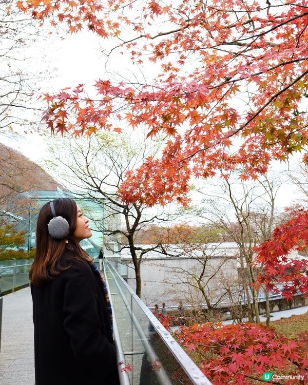 箱根紅葉之旅🍁美術館打卡📸