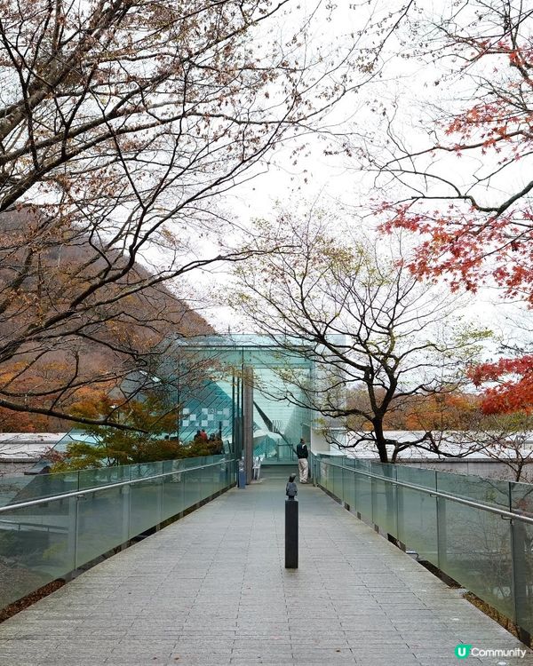 箱根紅葉之旅🍁美術館打卡📸