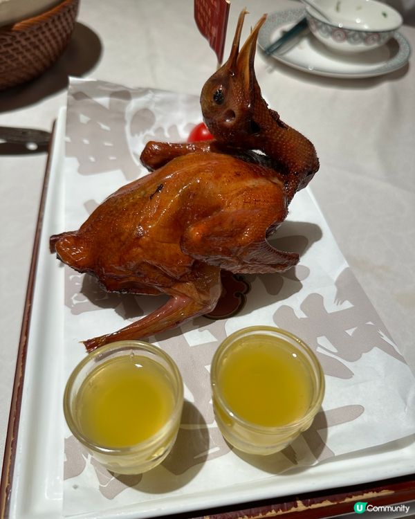 大鴿飯等位超過1小時送你一隻乳鴿