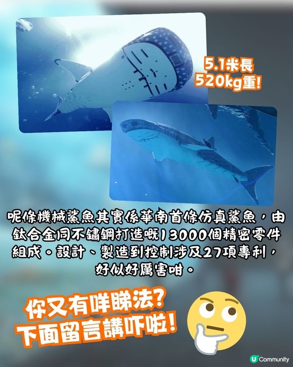 深圳最大水族館鯨鯊竟是人造⁉️遊客鬧爆要求回水🔥