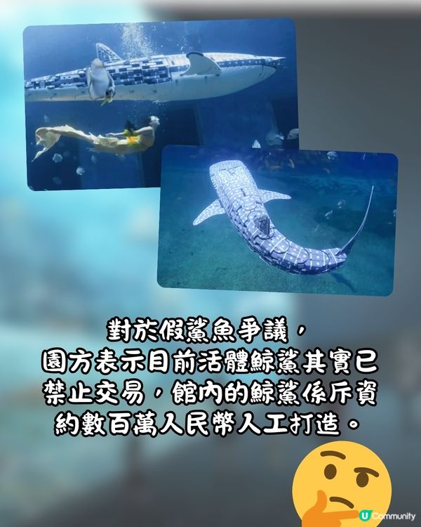 深圳最大水族館鯨鯊竟是人造⁉️遊客鬧爆要求回水🔥