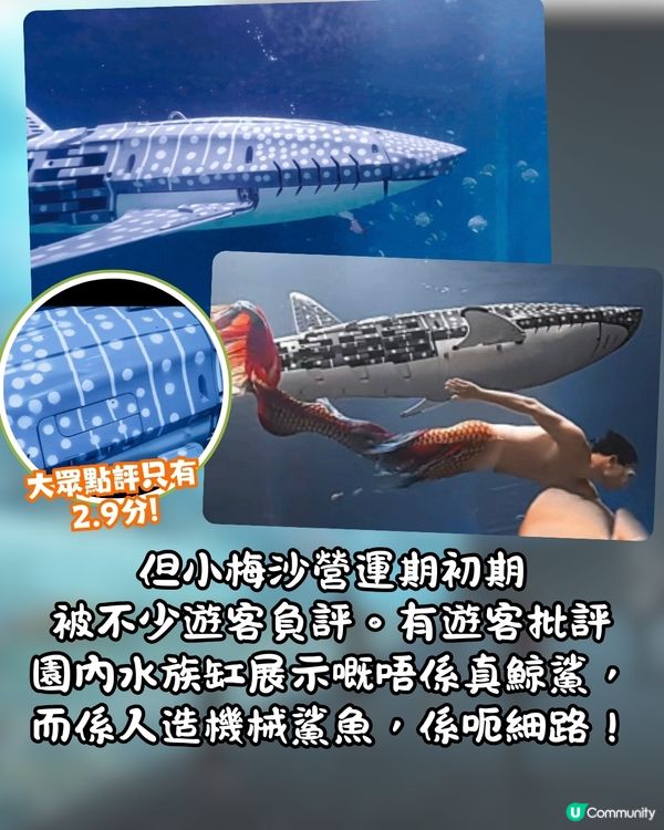 深圳最大水族館鯨鯊竟是人造⁉️遊客鬧爆要求回水🔥