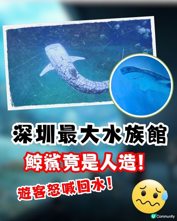 深圳最大水族館鯨鯊竟是人造⁉️遊客鬧爆要求回水🔥