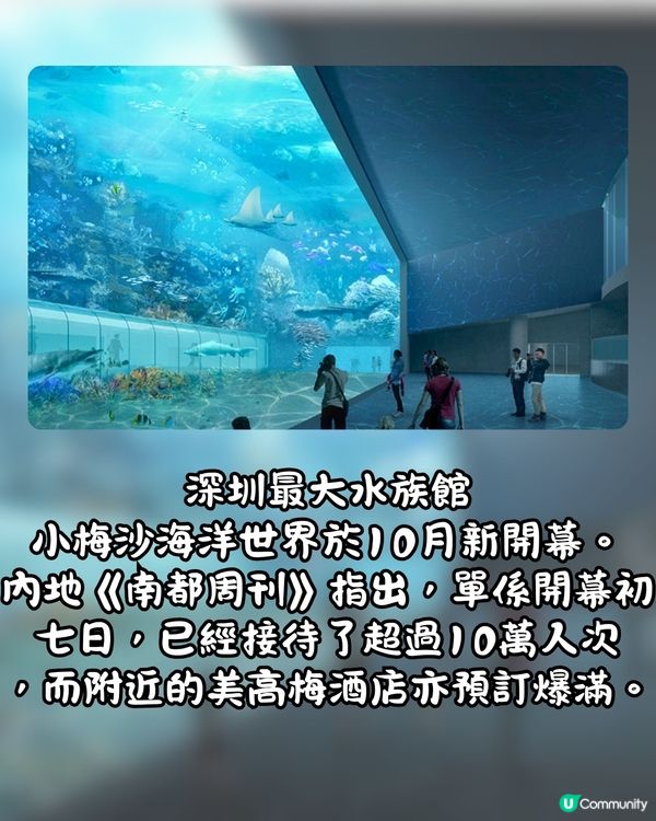 深圳最大水族館鯨鯊竟是人造⁉️遊客鬧爆要求回水🔥