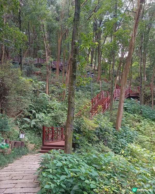 黃旗山大燈籠🏮