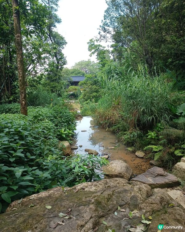 黃旗山大燈籠🏮