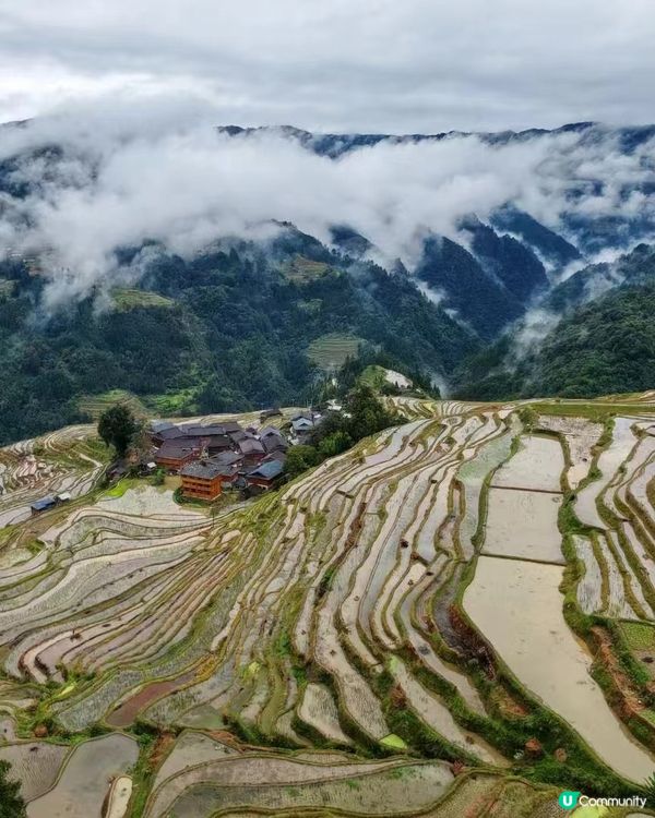 雲霧縈繞🌧️ 人間仙境