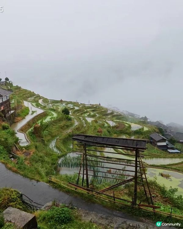 雲霧縈繞🌧️ 人間仙境