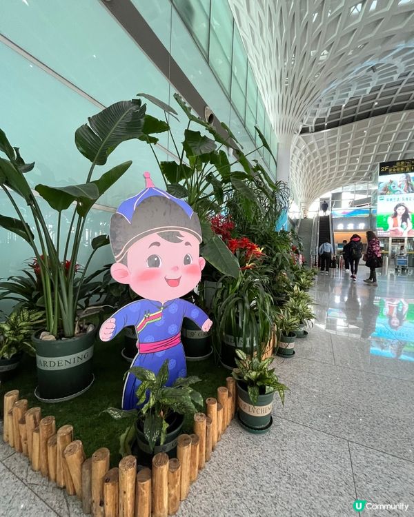 Hulunbuir Dongshan Internation...