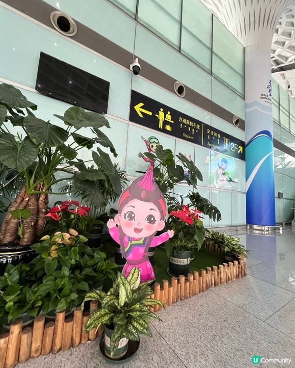 Hulunbuir Dongshan Internation...