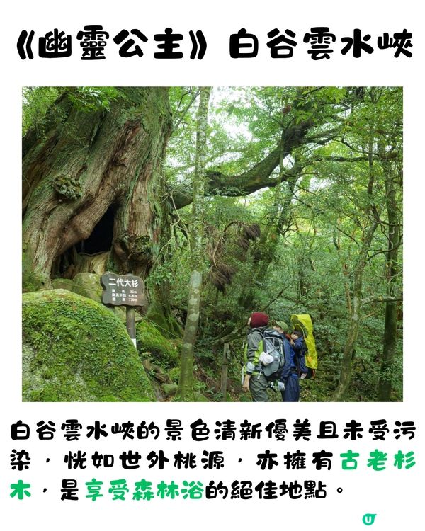 吉卜力迷朝聖必到景點🇯🇵5大電影場景實地探訪💫😍