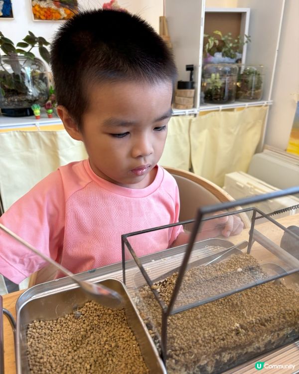 🌵親子工作坊🪴